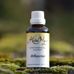 Alcoolature - Millepertuis