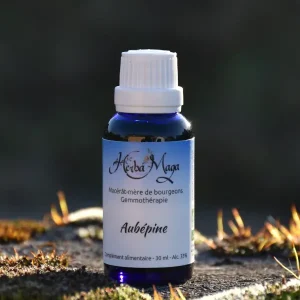 Gemmo - Aubépine