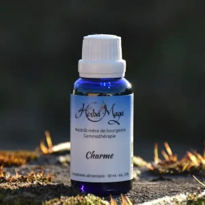 Gemmo - Charme
