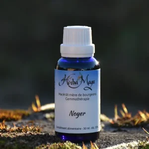 Gemmo - Noyer