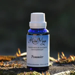 Gemmo - Pommier