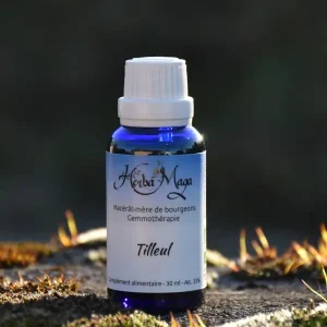 Gemmo - Tilleul